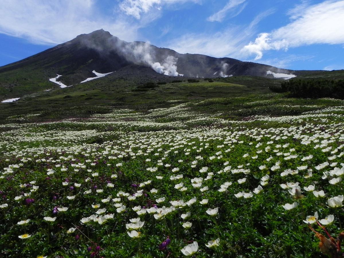 Hotel Asahidake Onsen Deer Valley 3*