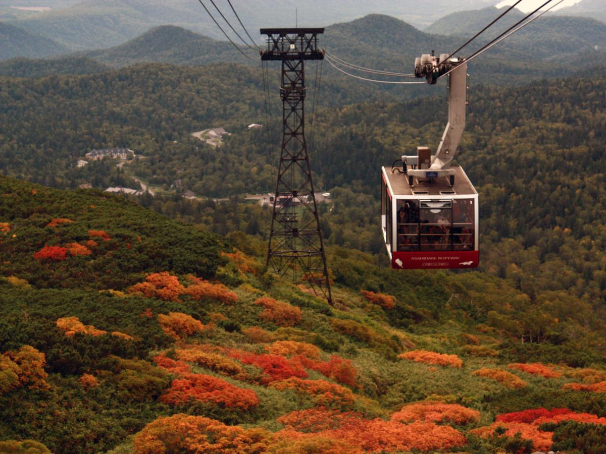 Asahidake Onsen Deer Valley